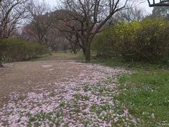 -无锡梅园公园