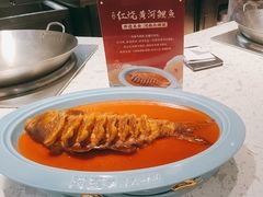 -阿五黄河大鲤鱼(英协路店)