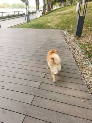 点击看大图 -HD HAIR STYLE