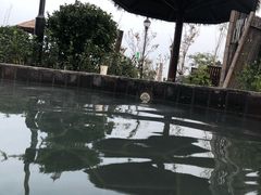 -青岛海泉湾度假区温泉