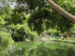 -成都市活水公园