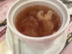 海底椰雪耳-池记(尖沙咀店)
