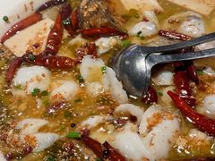 -九毛九西北菜(百信广场店)