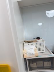 点击看大图 -广州紫馨整形外科医院