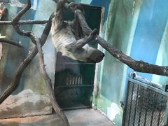 -无锡动物园·太湖欢乐园