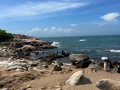 -广东惠东海龟国家级自然保护区