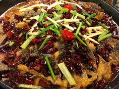 -老板恋上鱼(环山路店)