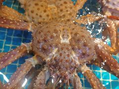 水产区-驻海渔市(置信店)