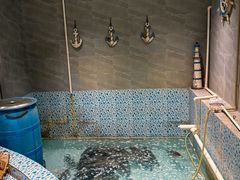 -鱼神·脆肉鲩 全鱼宴(西乡店)