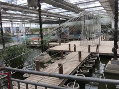 -万源龙顺度假庄园生态观光园