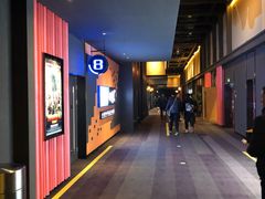 -万达影城(闵行颛桥万达广场杜比影院店)