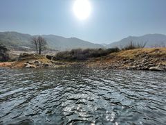 -广州市流溪河国家森林公园