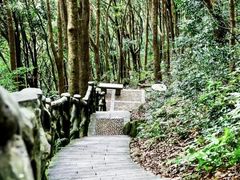 -梧桐山风景名胜区