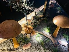 -义气烤肉餐吧(大族广场店)