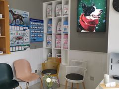 -关爱宠物医院·猫科中心·消化科(滨湖万达分院)