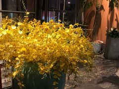 -大鸭梨烤鸭(枣园店)