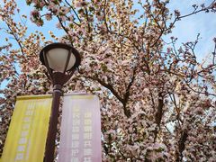 -海棠花溪(元大都城垣遗址公园)