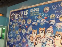 -海合安武汉极地海洋公园