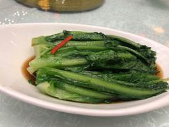 蚝油油麦菜-亢龙太子酒轩·花园店