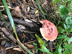 -碓臼峪自然风景区