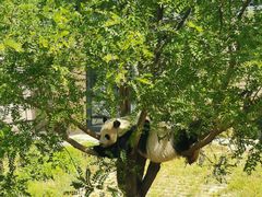 -石家庄市动物园