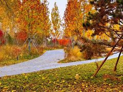 -元大都城垣遗址公园