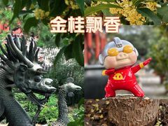 -颐和园