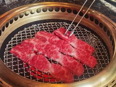 -老乾杯(深圳湾万象城店)