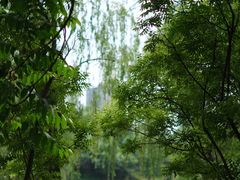 -迎泽公园