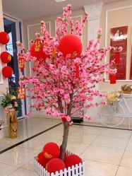 -Bollins波林丝•专研护发中心