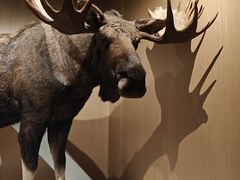 -陕西自然博物馆