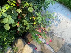 -百里峡七彩艺术小镇