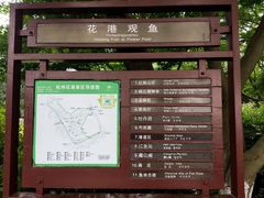 -西湖外事游船(花港观鱼码头)