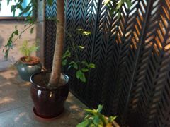 -上岛咖啡(珠园店)