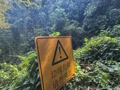 -火炉山森林公园