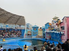 -华夏文旅海洋公园