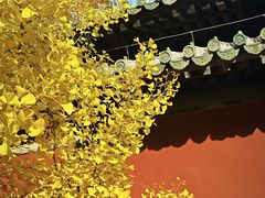 -北京凤凰岭