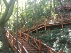 -大岭沟猕猴桃谷风景区