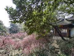 -团城山公园