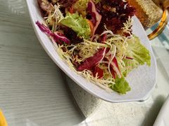 -春满园生态餐厅(南宫路店)