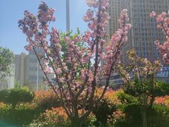 -烟台碧海饭店(烟台火车站店)