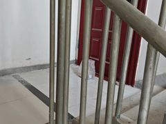 -合肥野生动物园