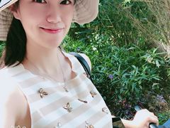-七仙岭温泉国家森林公园