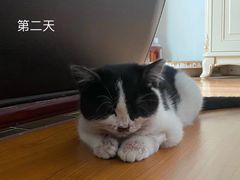 -亚宠动物医院·芭比堂宠物医院(盘龙店)