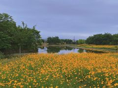 -金谷域澳洲庄园