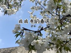 -鸡鸣寺