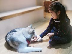 -Husky Go! 哈士奇体验馆·宠物咖啡厅狗咖