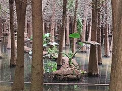 -捞渔河湿地公园