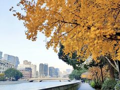 -苏州河梦清园环保主题公园