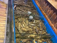 -开海·红岛海鲜虾水饺(石老人店)